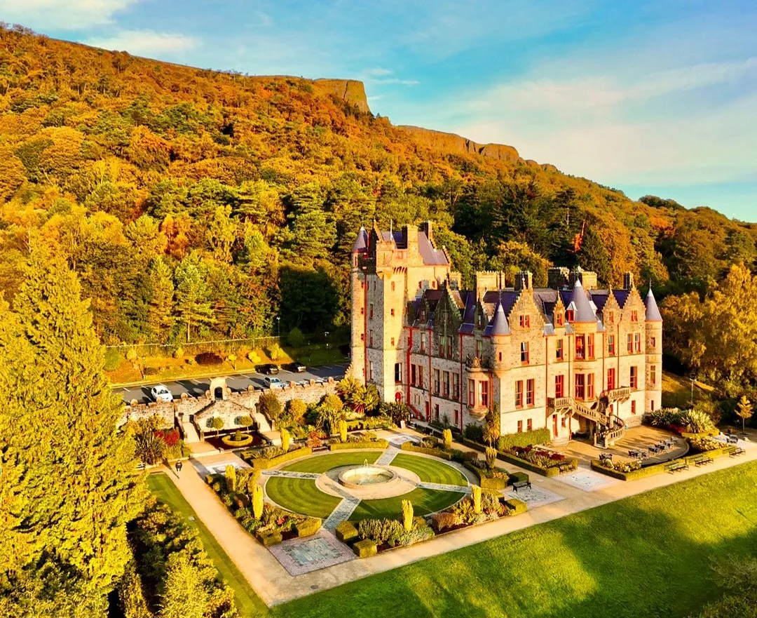 A beautiful Irish castle set in green countryside, with stone walls, ivy-covered towers, and a gravel path leading to its doors. Sheep graze nearby, capturing Ireland's charm. Text overlay: “How to Rent a Castle in Ireland.