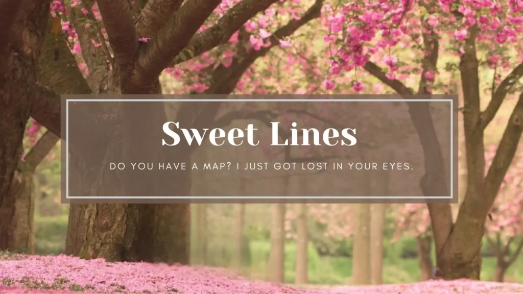 Sweet Lines - Melt Hearts with Genuine Charm Image of Sweet Lines category containing a heartfelt pick-up line.