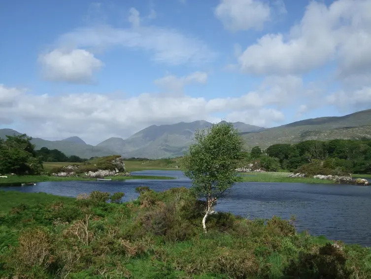 Calm lake and green landscape in Killarney National Park, Ireland, ideal for senior travelers seeking natural beauty