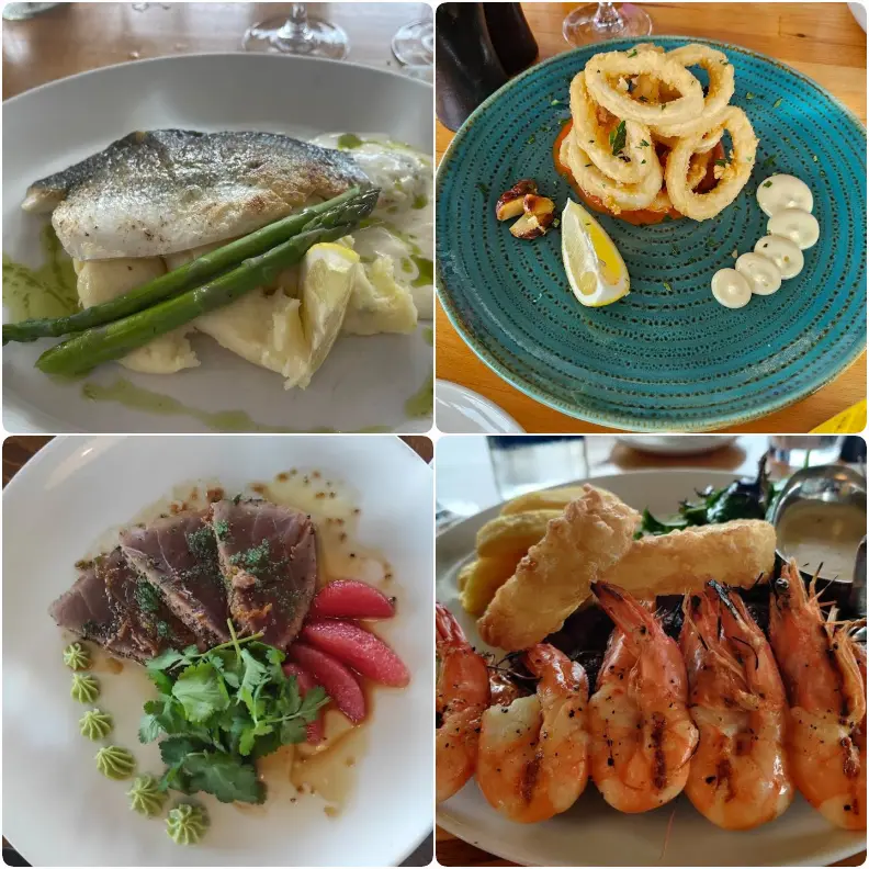 Aqua Restaurant seafood dishes including grilled fish, calamari rings, seared tuna, grilled prawns, and fish and chips.