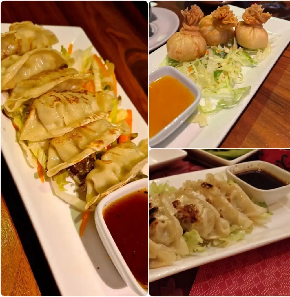 Golden pan-fried gyoza and crispy dumplings with dipping sauce at Tippenyaki Restaurant Rathmines, Dublin