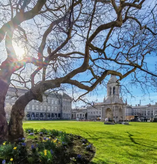 Best Attractions Near Dublin