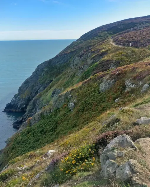 An image of Howth Cliff Walk Near Dublin.