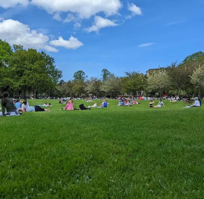 People are enjoying and some are doing yoga as a representation of Holistic lifestyle.