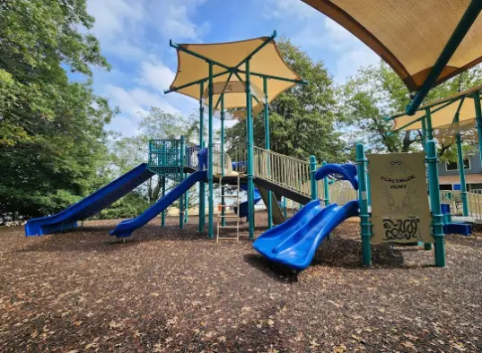 Kids Slides and Playing Area
