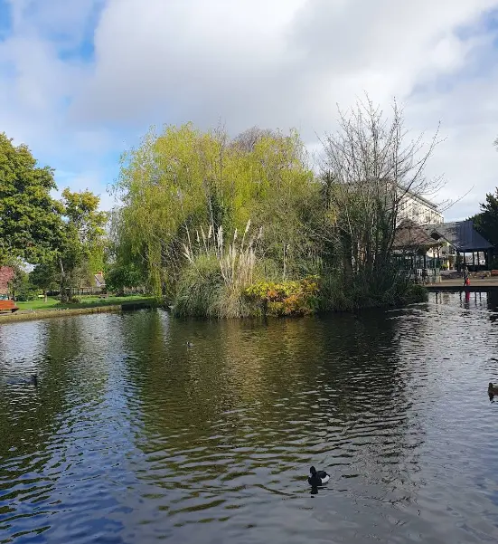 A snap of beautiful and scenic pond surrounded by tress of Herbert Park, Dublin.