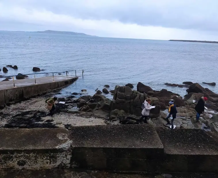 A photo of peaceful shore of Seapoint Beach.