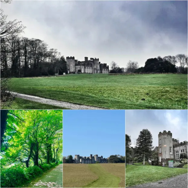 Ardgillan Castlefor the Best Walk in Dublin to Heal
