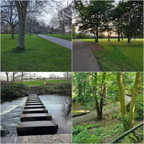 Bushy park- best riverside walk in dublin