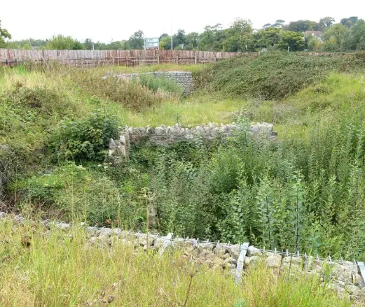 Carrickmines Castle ruins.