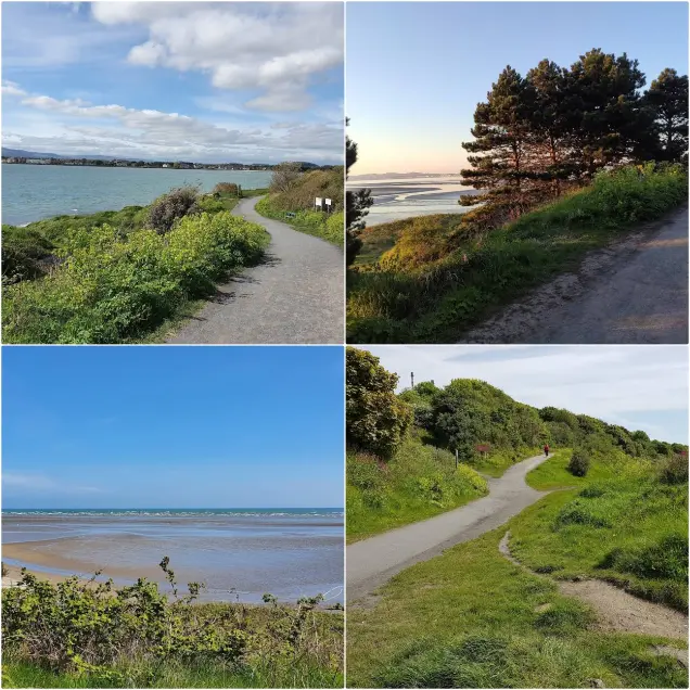 Irishtown Nature Park- best walk in dublin for wildlife.