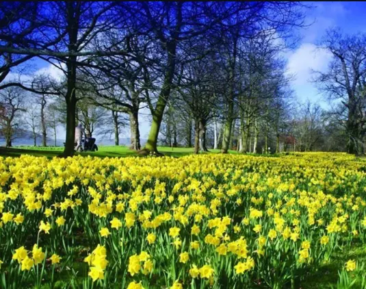 what to wear and carry in Spring in Ireland