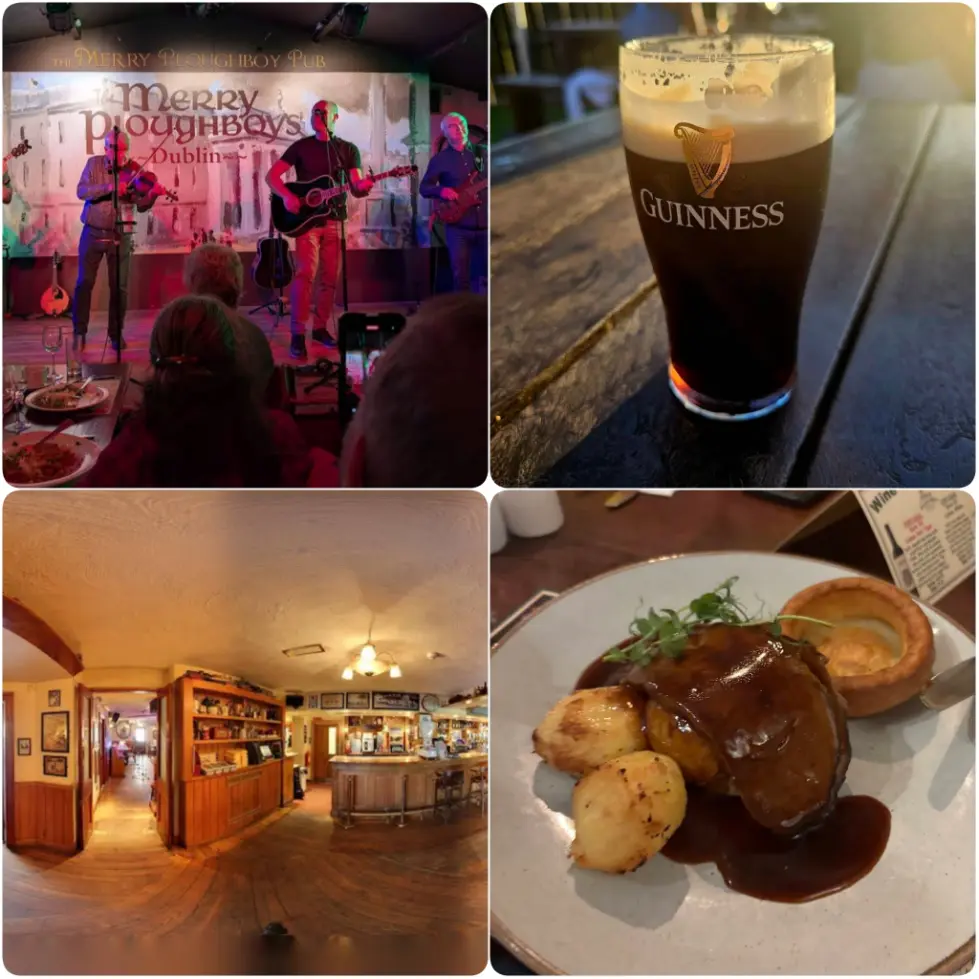 The Merry Ploughboy- is one of the best pubs in Dublin with live music and perfect creamy pint