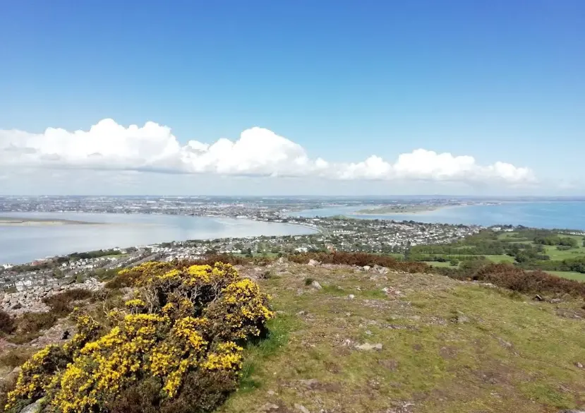 North Bull Island one of the best in Dublin