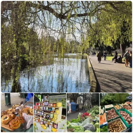 Herbert Park Food Market Ballsbridge