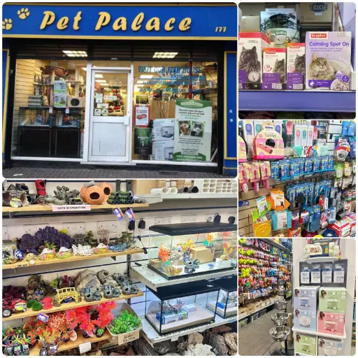 Pet Palace - Parnell Street