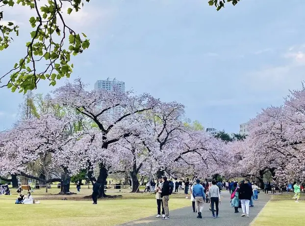 Shinjuku Gyoen National Garden Tokyo