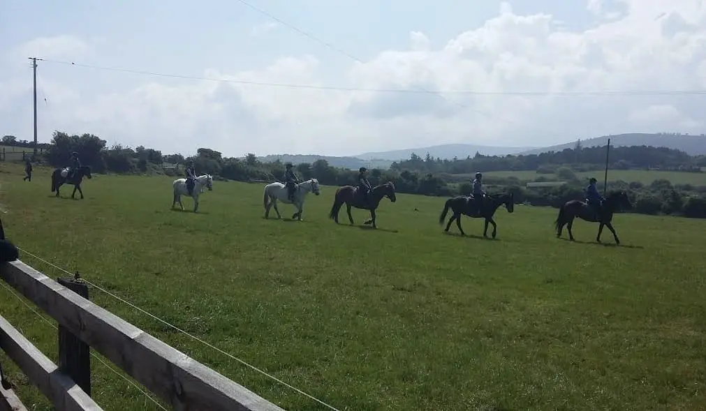 Carrickmines Equestrian Centre