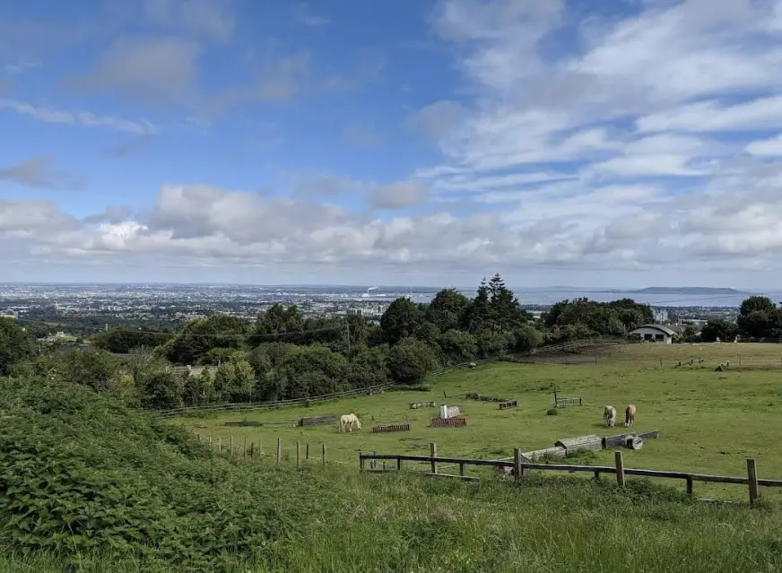 The Paddocks horse Riding Centre Dublin