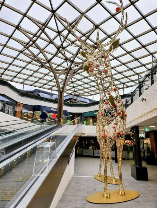 Blackrock Village Centre County Dublin