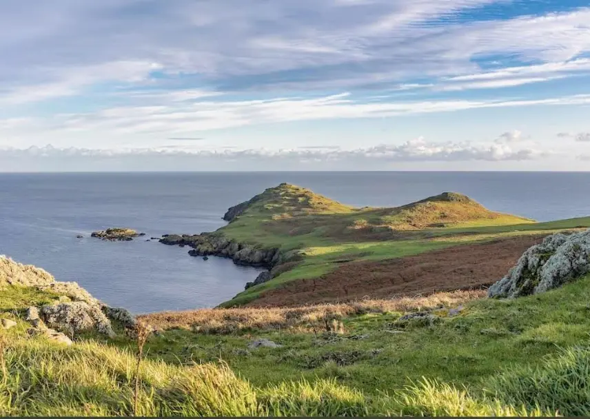 Lambay Island Rush co. Dublin