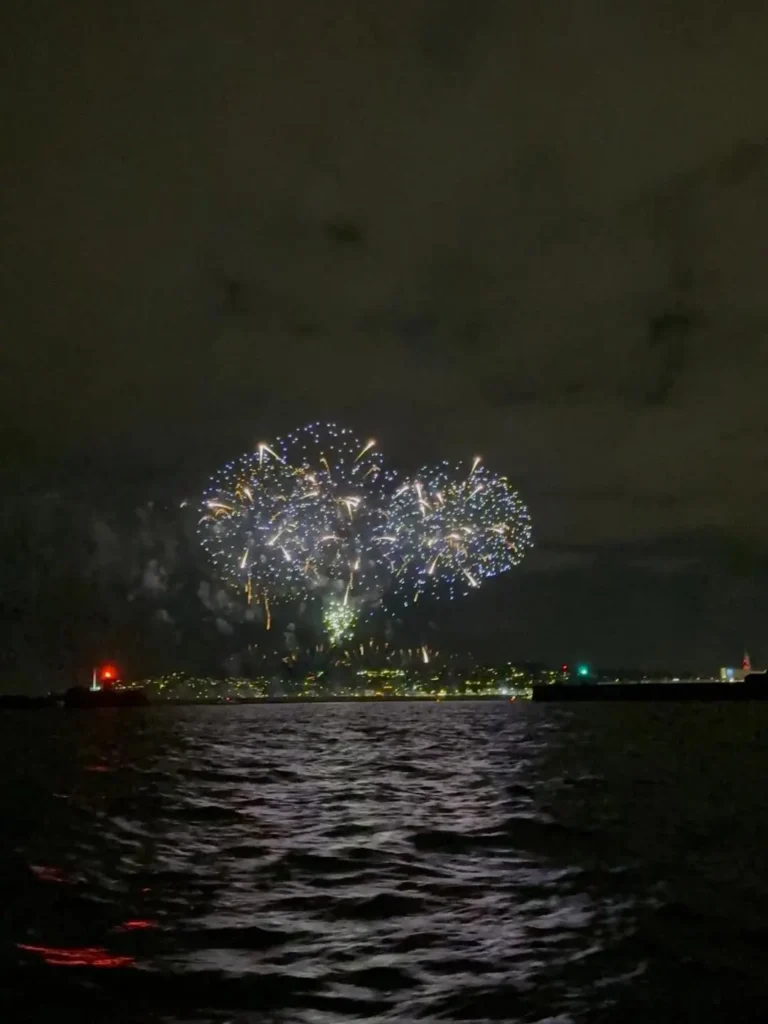 New Year's Festival Dublin