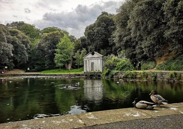 St Anne's Park one of the best spots for picnics in Dublin