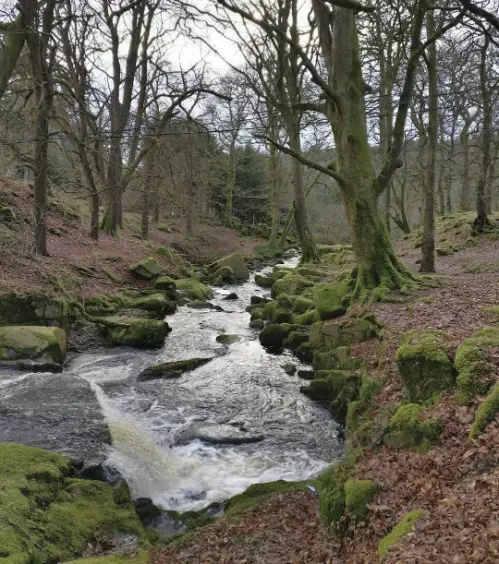 Weather in Wicklow Mountains Ireland