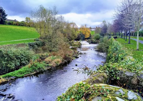 Living in Windy Arbour Dublin