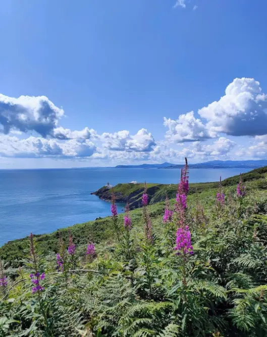 Romantic activities in Dublin for couples