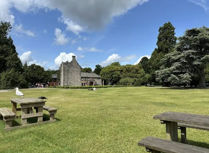 best picnic spots in Dublin