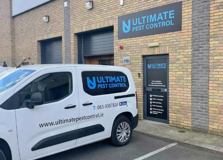 Best Pest Control Companies in Dublin