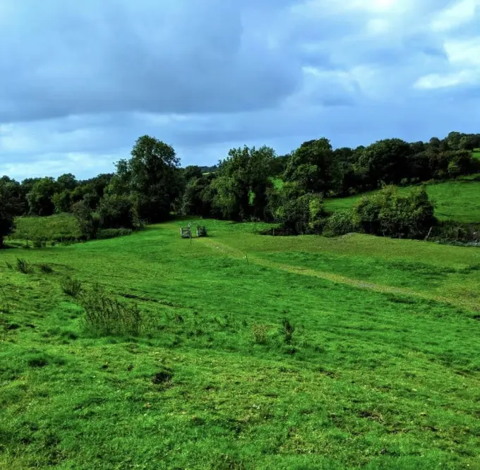 Causey Farm Pumpkin Patch