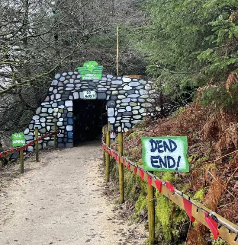 Luggwoods Pumpkin Patch Dublin