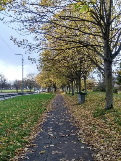 Royal Canal Park Dublin