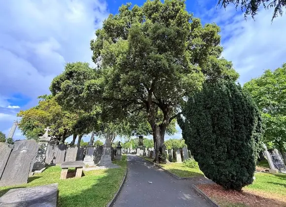 Glasnevin Cemetery 