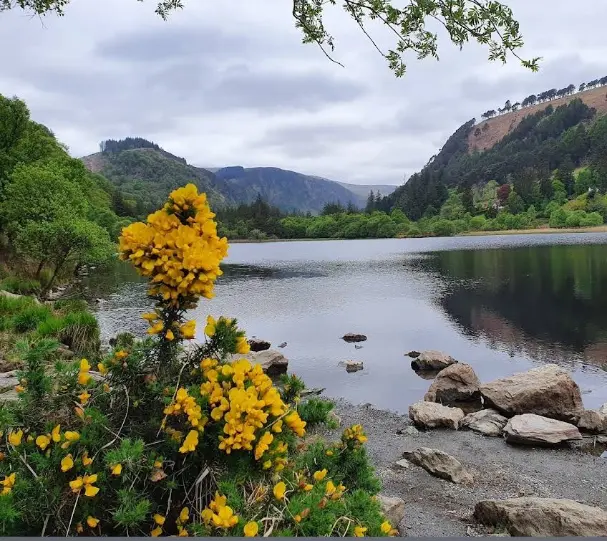 Glendalough and the Wicklow Mountains